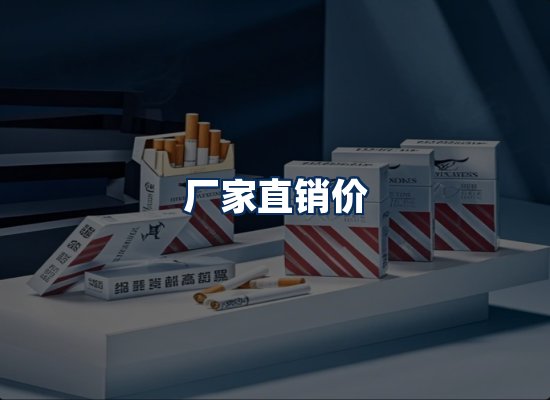 专业团队办公环境